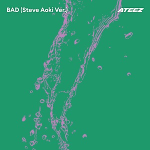 Pochette de BAD (Steve Aoki Ver.)